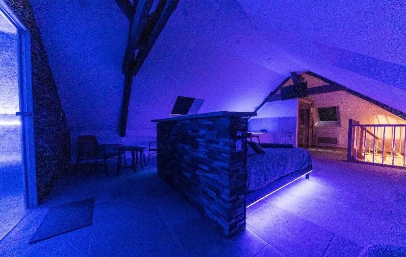 L'Evasion-Spa-Hammam-Sauna Illimite - 2 A 4 Pers Сен-Сир-сюр-Луар Экстерьер фото