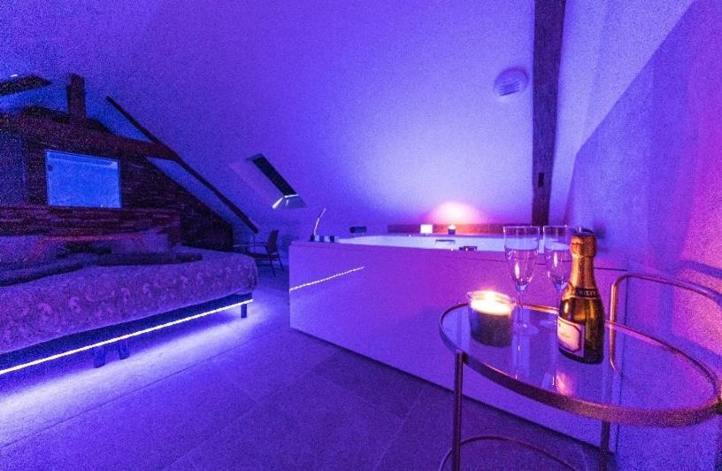 L'Evasion-Spa-Hammam-Sauna Illimite - 2 A 4 Pers Сен-Сир-сюр-Луар Экстерьер фото